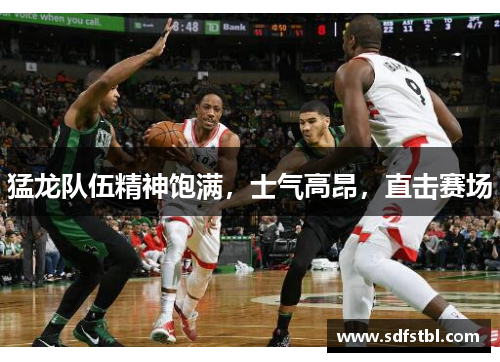 猛龙队伍精神饱满，士气高昂，直击赛场