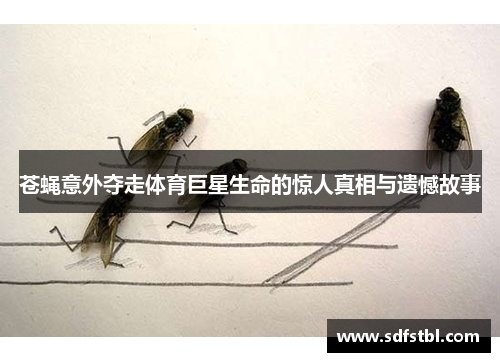 苍蝇意外夺走体育巨星生命的惊人真相与遗憾故事