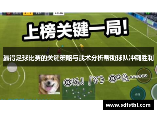 赢得足球比赛的关键策略与战术分析帮助球队冲刺胜利